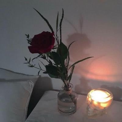 皇冠正规娱乐平台下载手机版